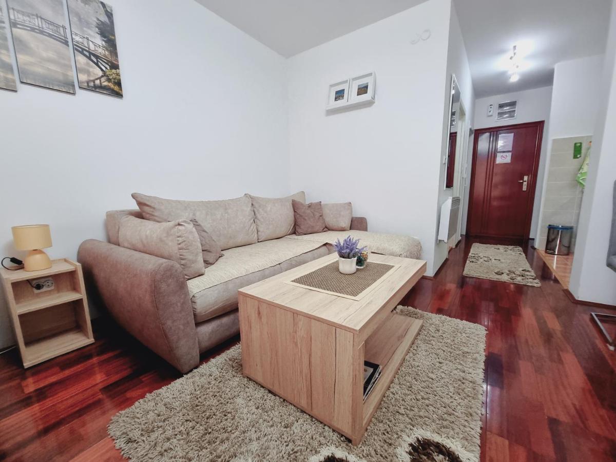 Apartman Temida Lux Vrnjačka Banja 외부 사진