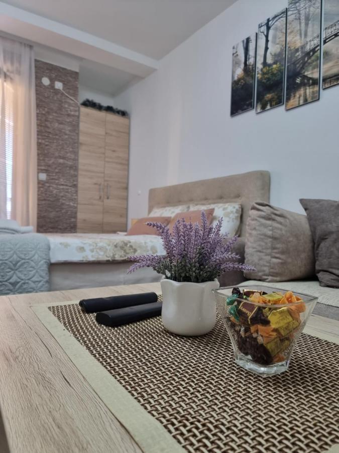 Apartman Temida Lux Vrnjačka Banja 외부 사진